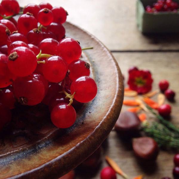 AllYourSites-Frutos Rojos-2