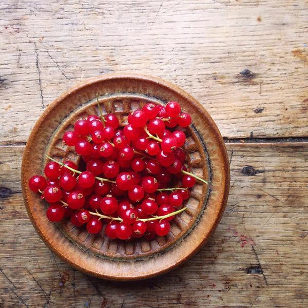 AllYourSites-Frutos Rojos-3