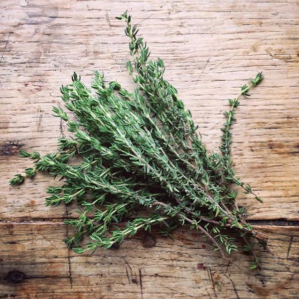 AllYourSites-Frutos Rojos-4