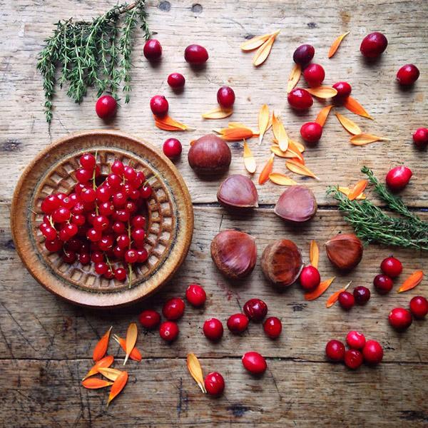 AllYourSites-Frutos-Rojos-5