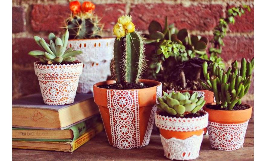 plantas-tener-en-un-jardin-con-masetas