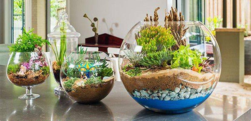 Jardines en miniatura Varios