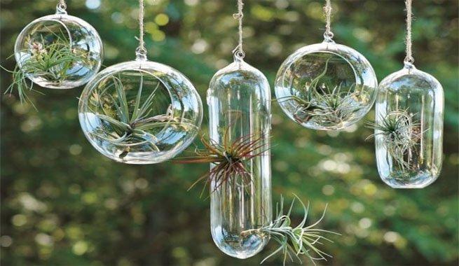 Jardines en miniatura colgantes