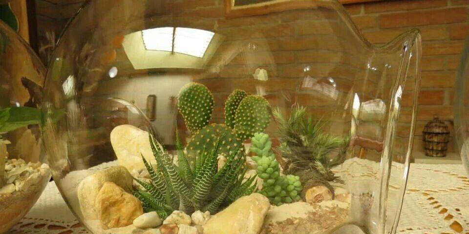 Jardines en miniatura con piedra