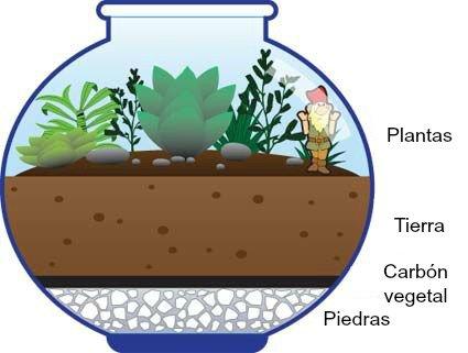 Jardines en miniatura esquema