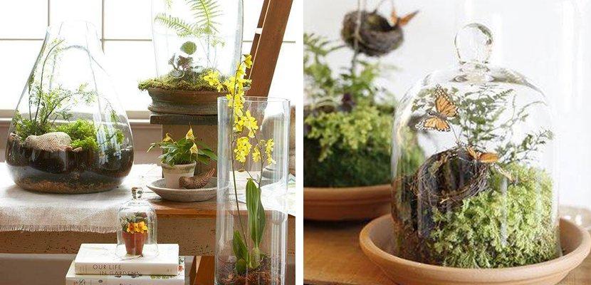 Jardines en miniatura surtido