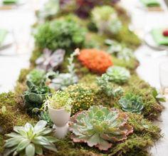 centro-mesa-musgo-suculenta