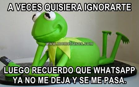 rana-rene-whatsapp-dos-fechitas