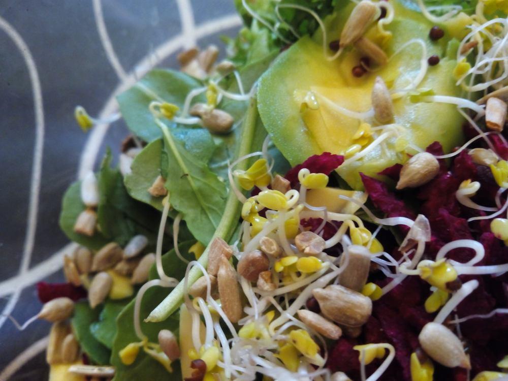 Ensalada de brócoli germinado anticáncer