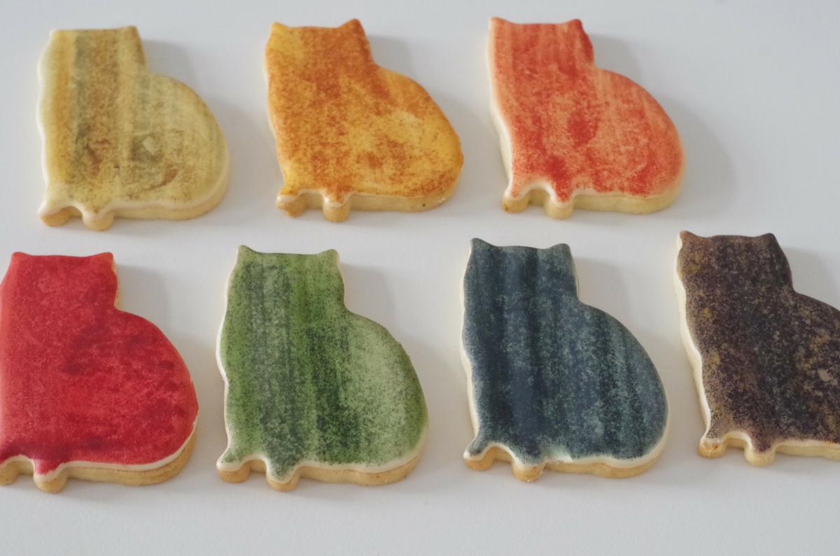 doctorcookies gatos (3)