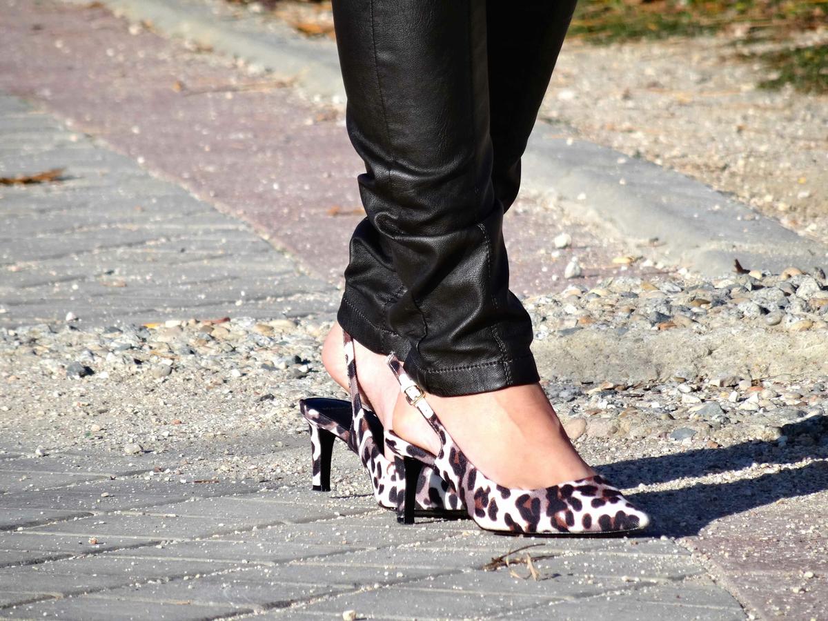 zapatos animal print