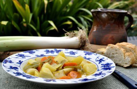 porrusalda-vegetariana-12