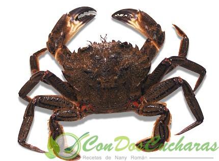 Cocción de mariscos