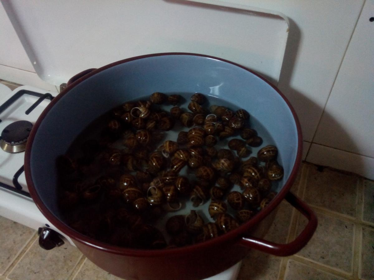 IMG_20141222_181933_1