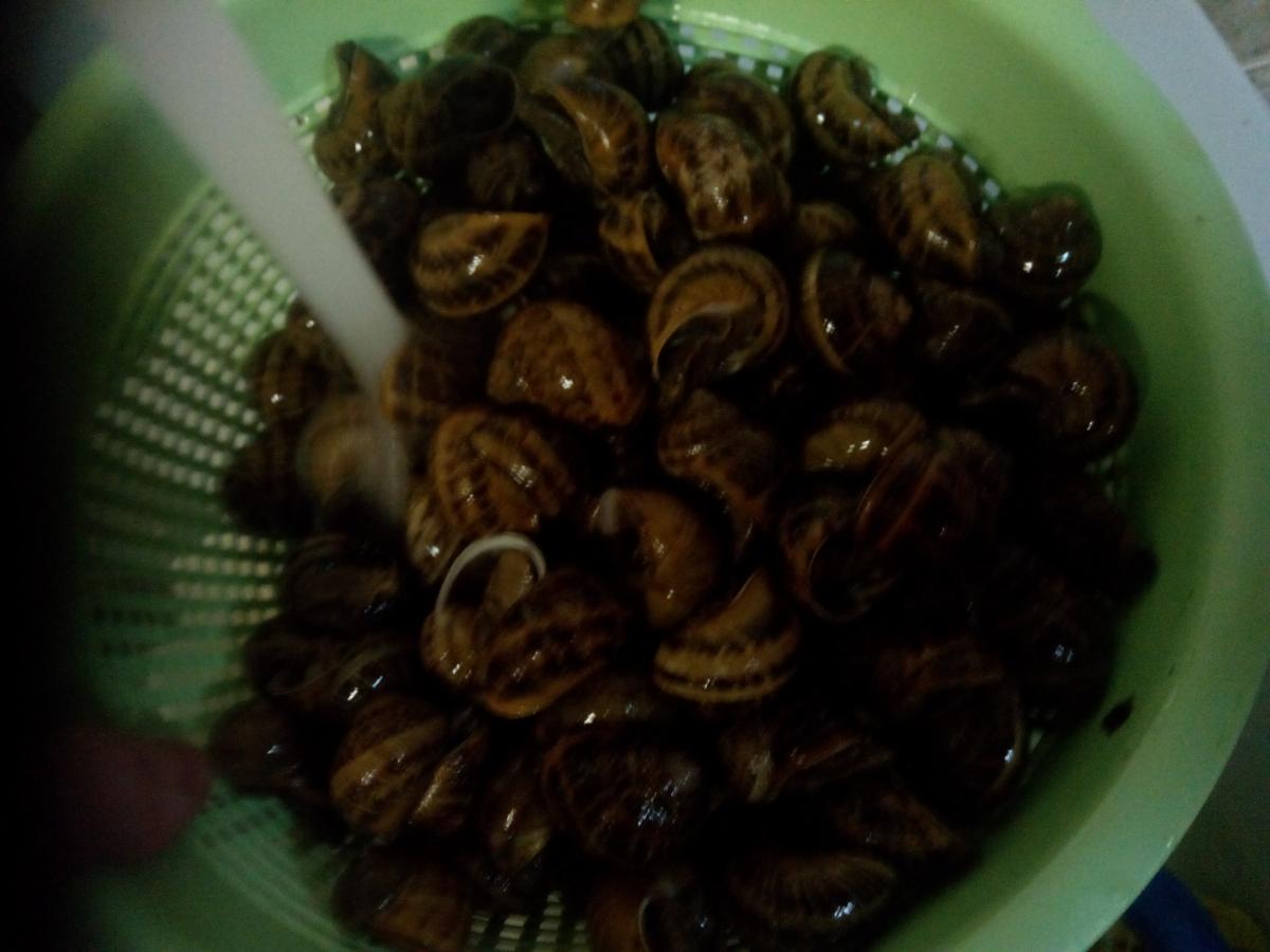 IMG_20141222_180940_1