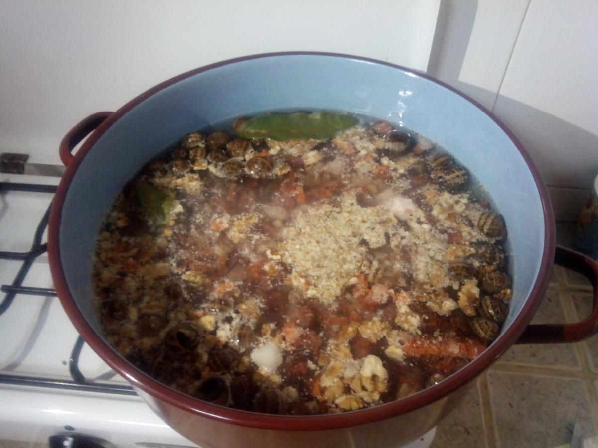 IMG_20141222_184002_1