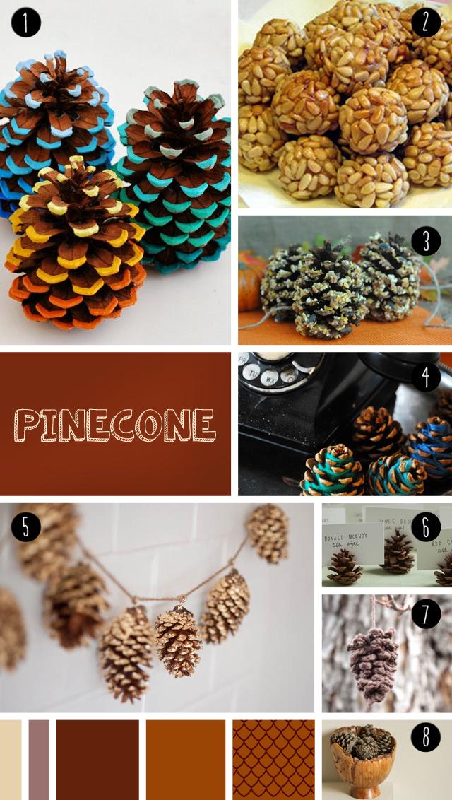 8 pinecone DIY seen at "I am a mess"