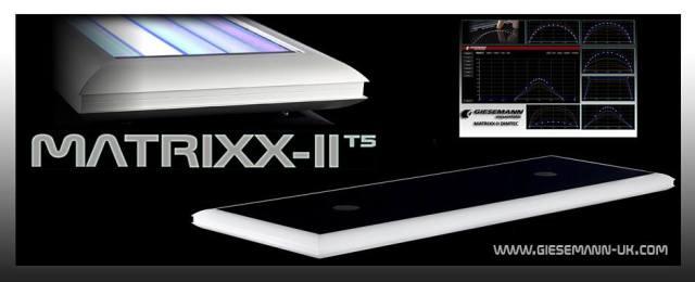 Giesemann-Matrixx-II-T5-2015