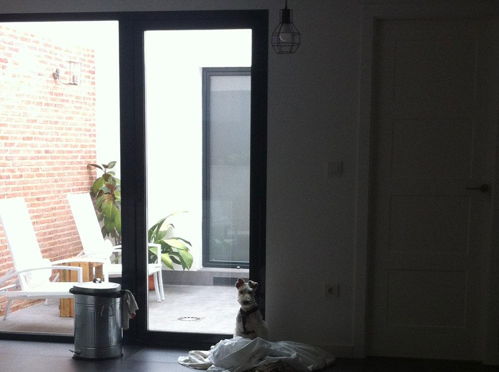 fox_terrier_blanca_casamya_blog_ana_pla_interiorismo_decoracion_8