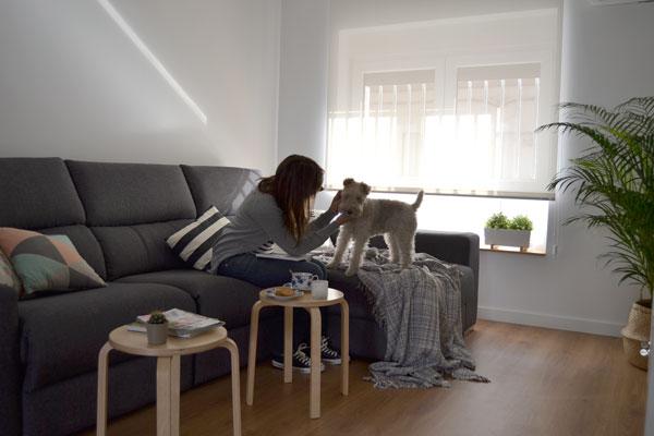 fox_terrier_blanca_casamya_blog_ana_pla_interiorismo_decoracion_7