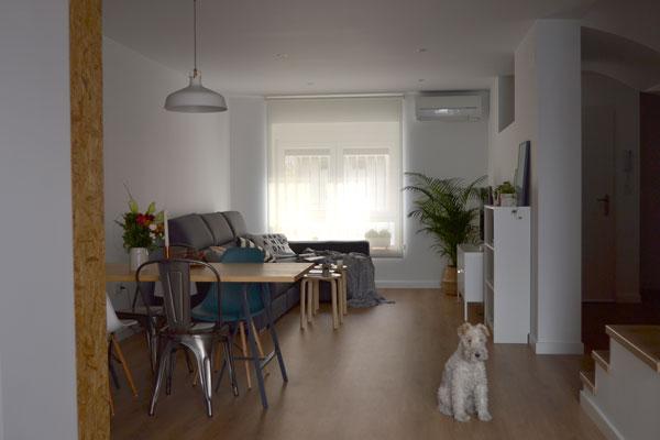 fox_terrier_blanca_casamya_blog_ana_pla_interiorismo_decoracion_6