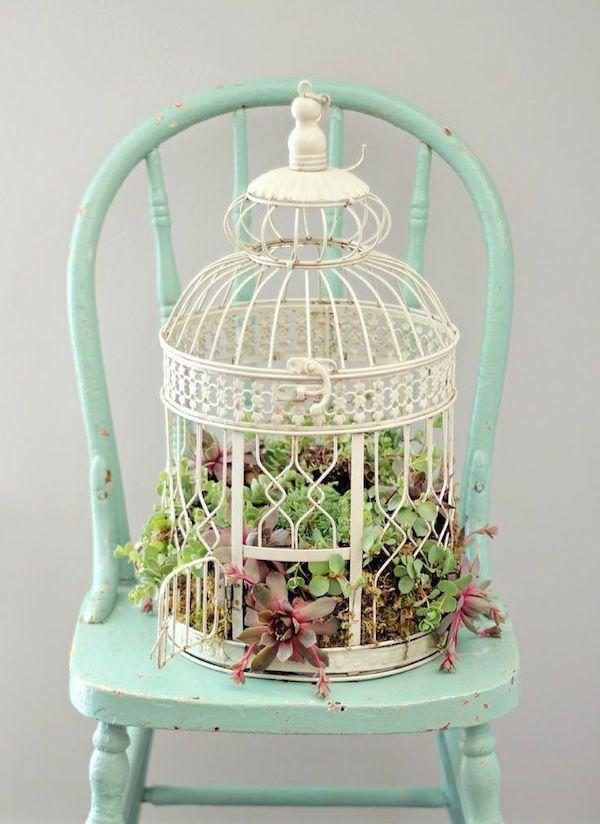 jaula-suculenta-boda