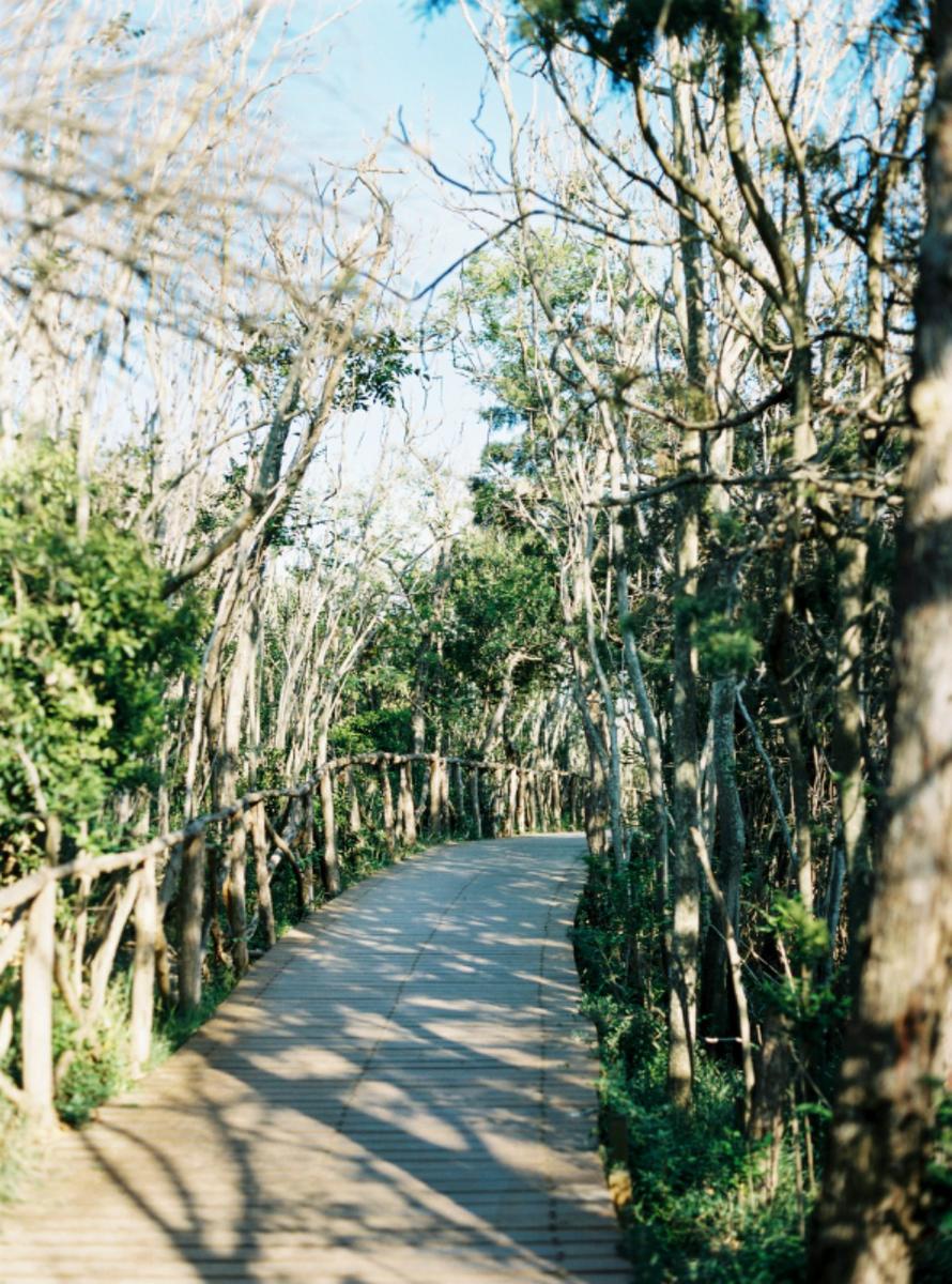 La Boda de Mathilde y Simon en All Lovely Party