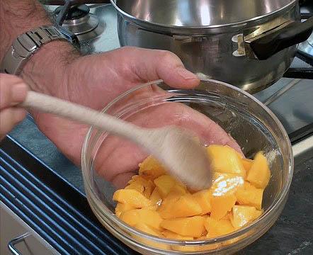 Panacota de Vainilla con Coulis de Mango27