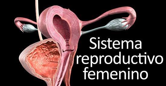 salud del útero