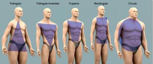 tipo-de-cuerpo-hombre
