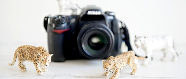  photo curso-hello-creatividad-fotografia_zpsfwuahm4f.jpg