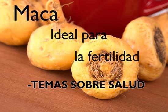 La maca