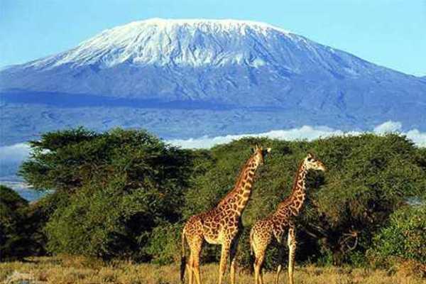 luna de miel en Africa Tanzania