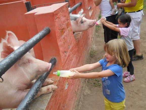 granja infantil