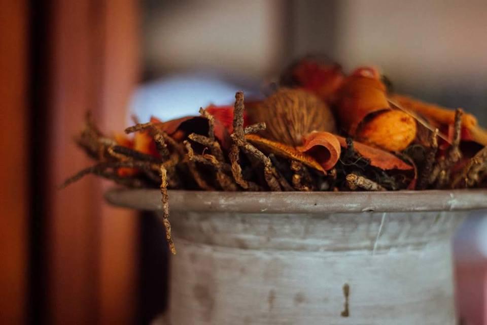 12506863_1538452693134623_2134513108_n