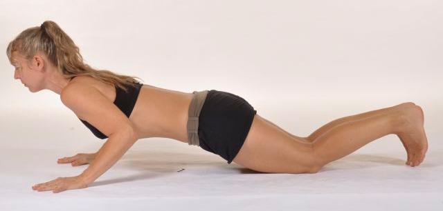ardha chaturanga dandasana