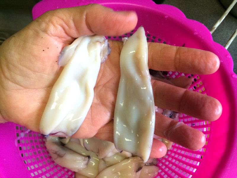 tamaño de los calamares