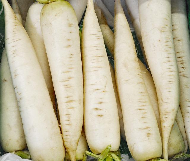 nabo daikon depurativo y adelgazante