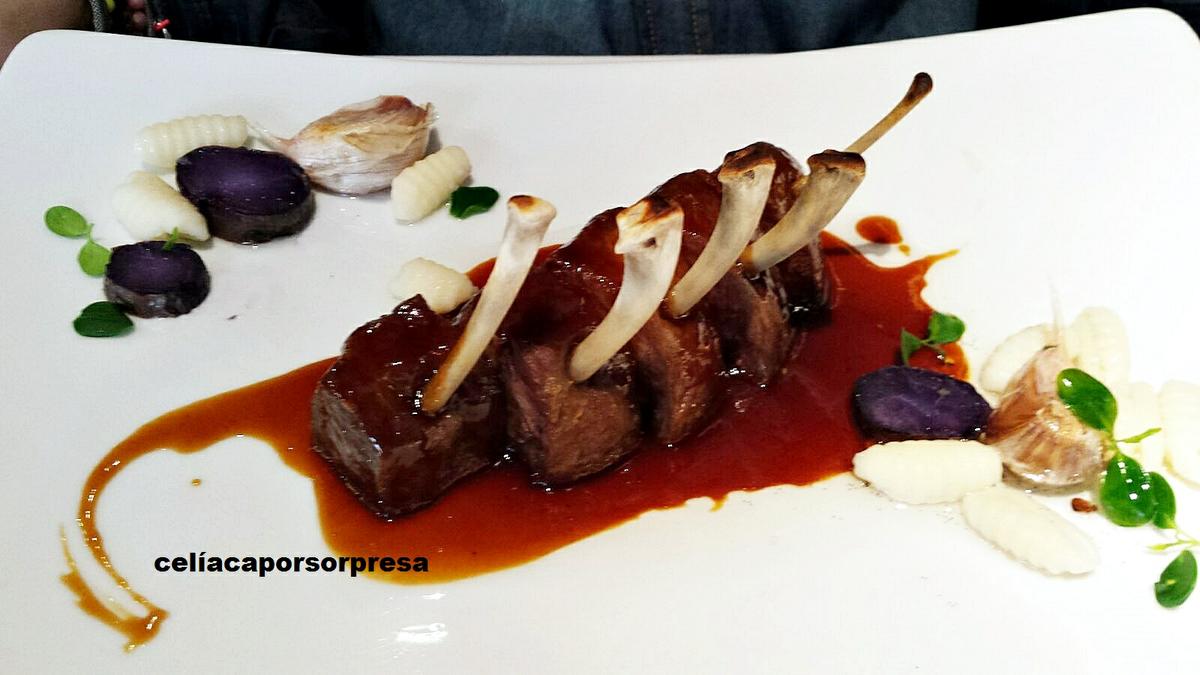 costillar-presa-piñera