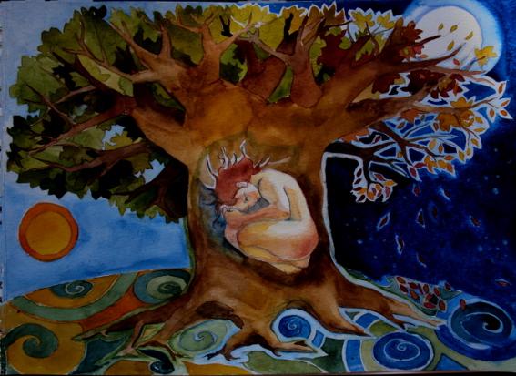 renacer-en-el-arbol