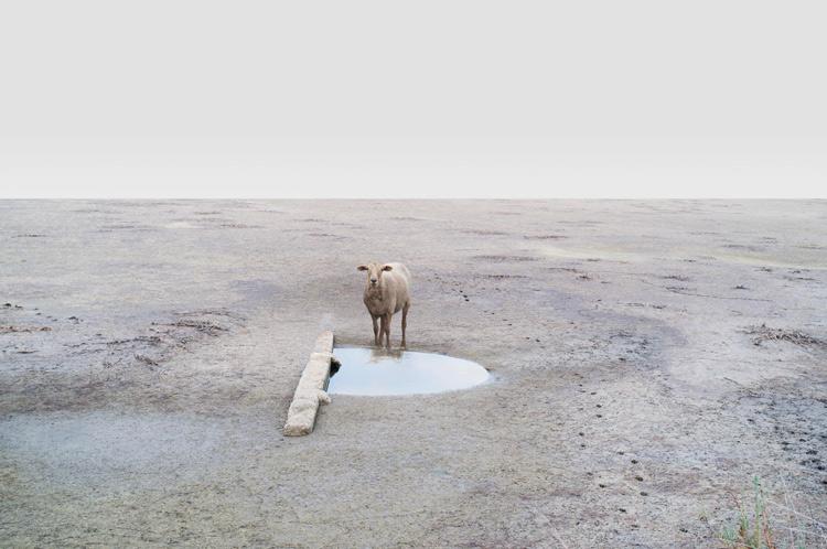 La fotogrfía de paisajes de petros koublos en wolfrik