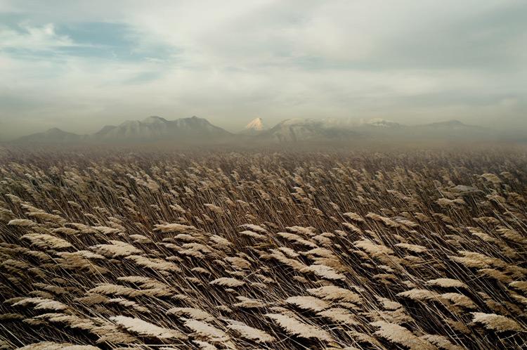 La fotogrfía de paisajes de petros koublos en wolfrik