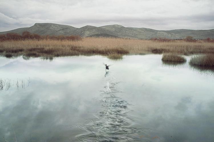 La fotogrfía de paisajes de petros koublos en wolfrik