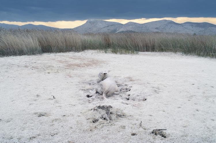 La fotogrfía de paisajes de petros koublos en wolfrik