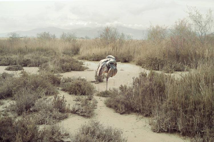 La fotogrfía de paisajes de petros koublos en wolfrik