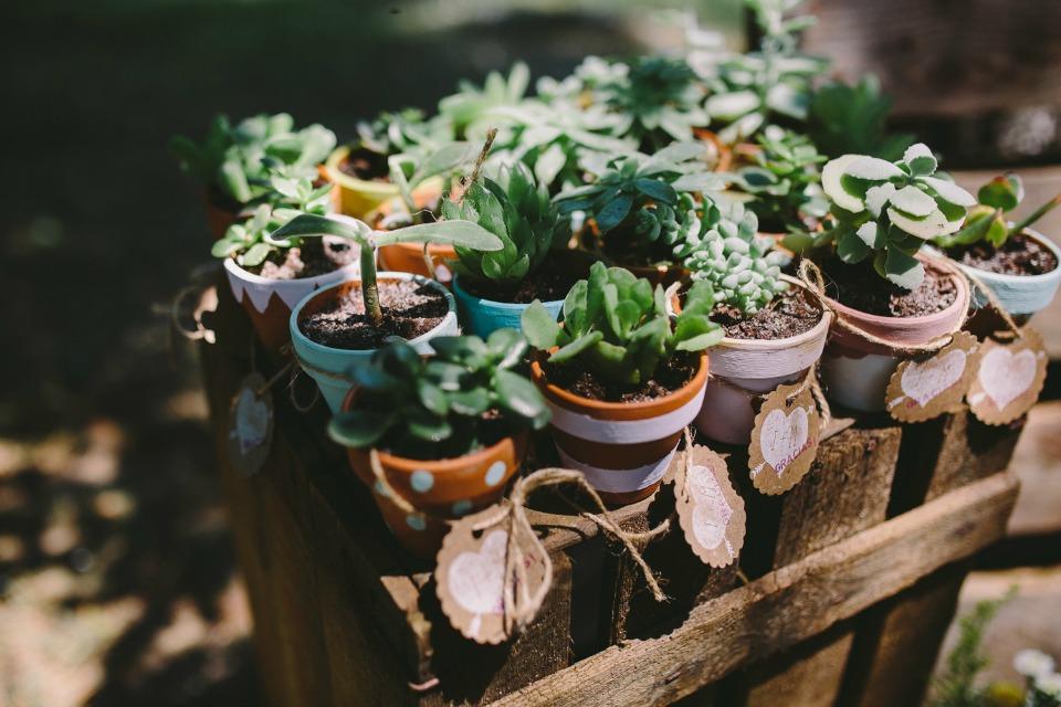 La boda de Melany e Isi en plena naturaleza en All Lovely Party
