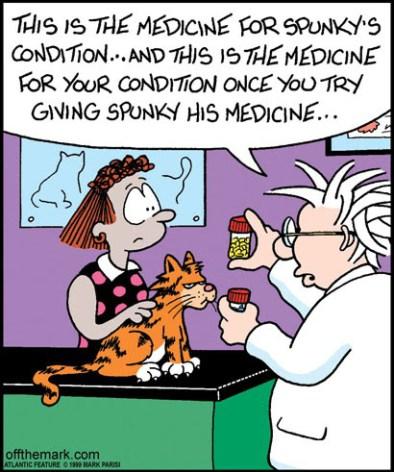 gato y pastilla