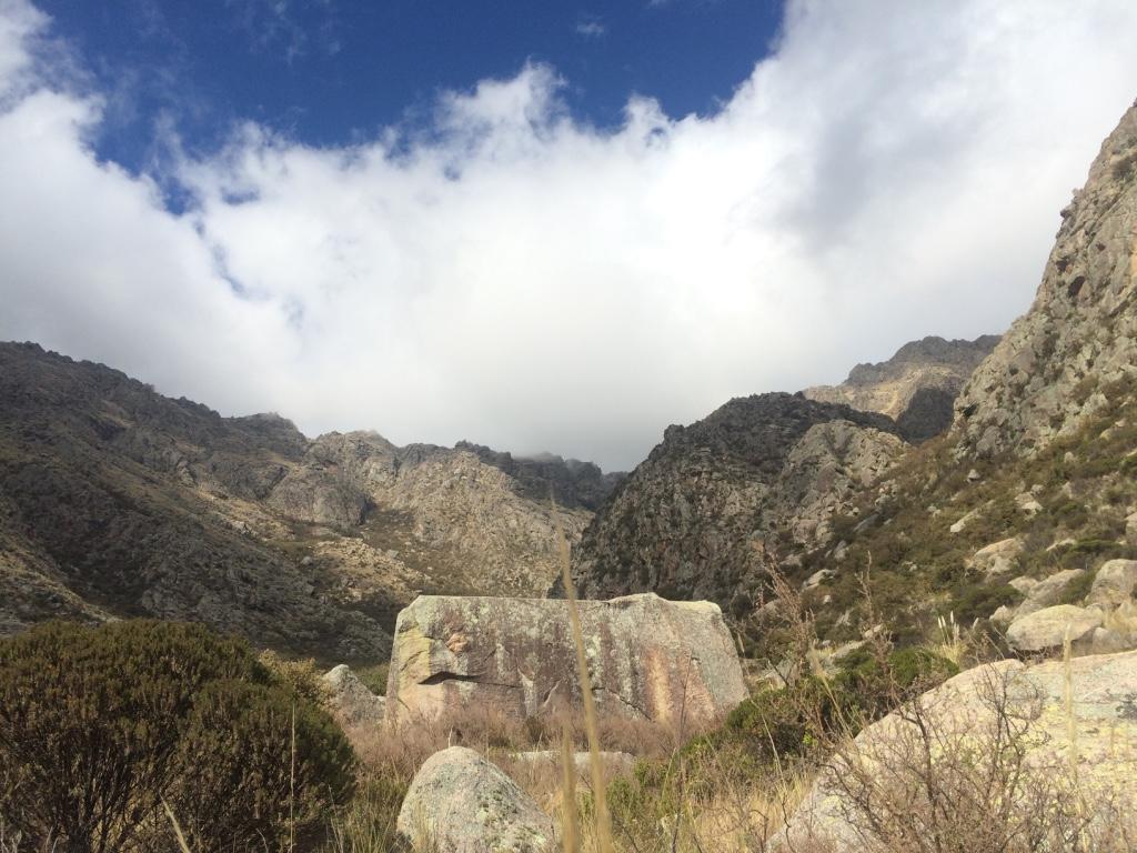 traslasierra-vegetación-rocas