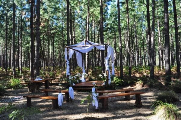 boda-en-el-bosque