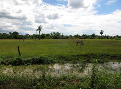 camboya-y-vietnam-12-frontera-03